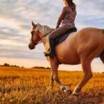 ¿Cuántas veces a la semana se debe montar un caballo?