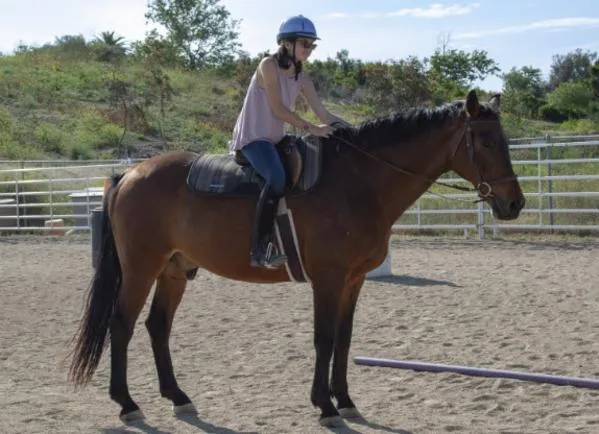 ¿Es seguro montar a caballo en la playa? Precauciones y recomendaciones esenciales para jinetes - Jinete