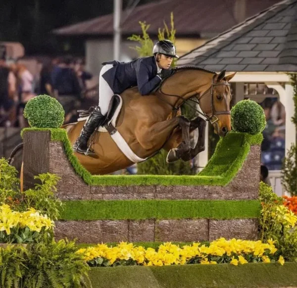 Técnicas de Salto para Jinetes: Consejos Efectivos para Superar Obstáculos con Confianza - Jinete